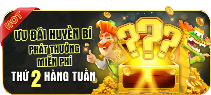 Hệ thống theo dõi Fun88