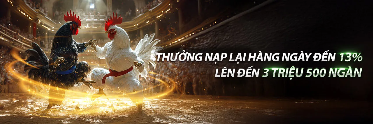 Sân vận động thể thao sôi động, cá cược thể thao Fun88 link vào 2026